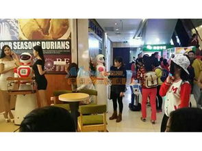 兰州餐饮机器人选购与代理指南 探寻性能卓越的智能餐饮解决方案